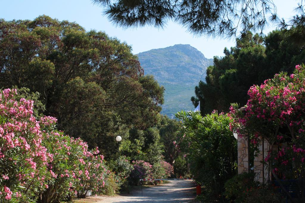 Camping Bella Vista Calvi  Exteriör bild